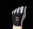glove
